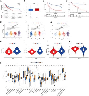 The RNA Methylation Modification 5-Methylcytosine Impacts Immunity Characteristics, Prognosis and Progression of Oral Squamous Cell Carcinoma by Bioinformatics Analysis